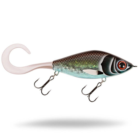Guppie 13.5cm "Midnight Shiner"
